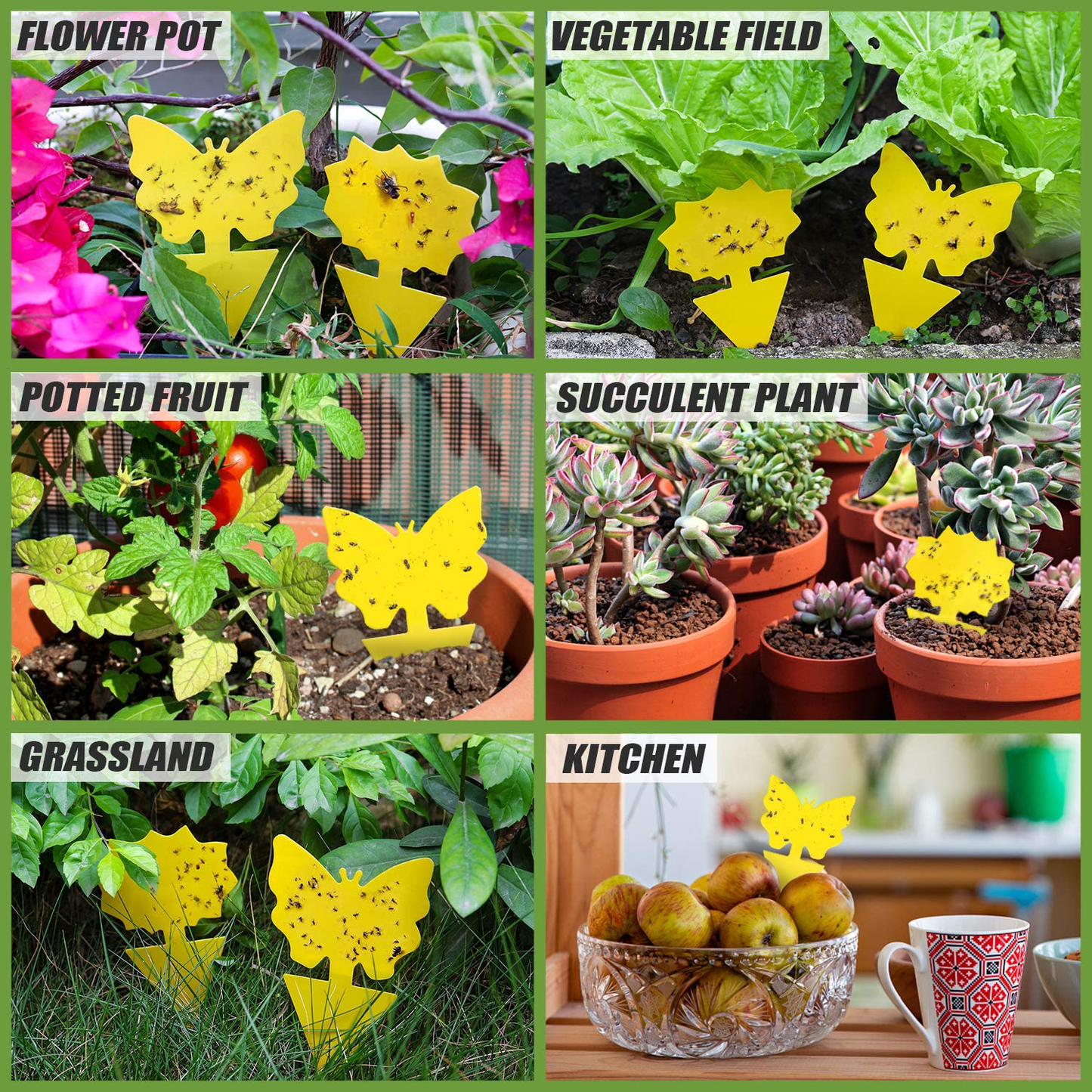 Fruit Fly Traps Indoor Sticky Glue Gnat Trap 24pcs Fungus Gnat Killer for Kitchen House Outdoor Plant Fly Paper Flying Insect Catcher
