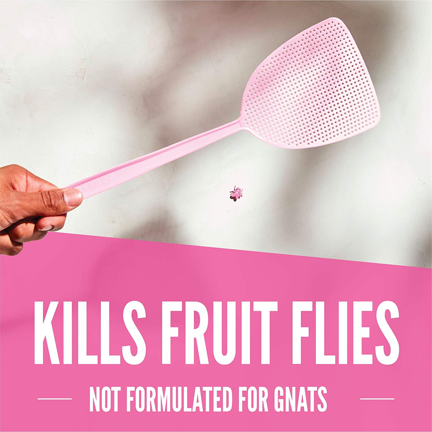 Aunt Fannie's FlyPunch - Fruit Fly Trap, Kill Fruit Flies, for Indoor Use (6-Pack)