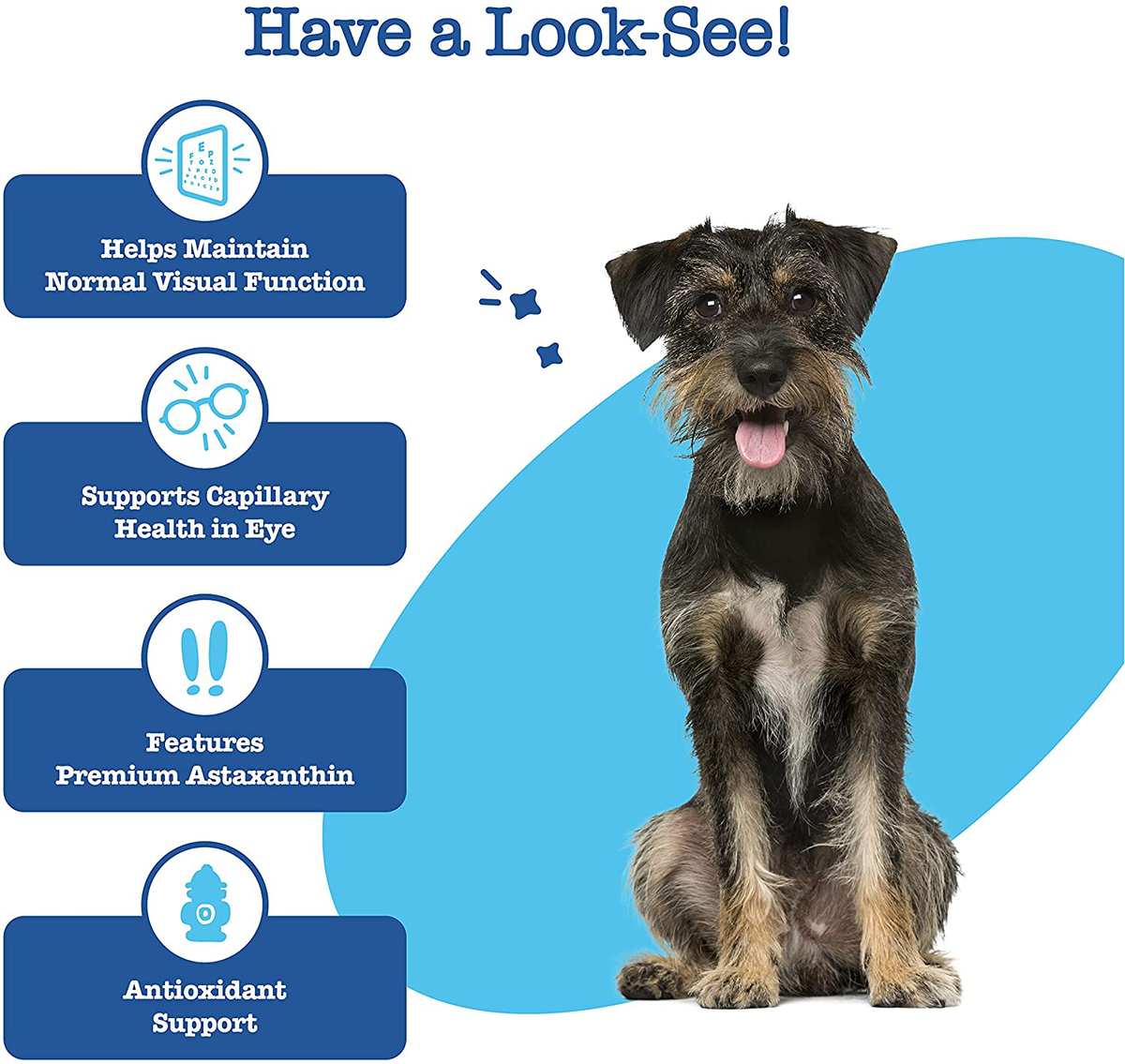 Zesty Paws Eye Supplement for Dogs - Vision Support with Lutein + Vitamin C & Astaxanthin Antioxidants - Dog Vitamins for Eyes + Fish Oil for Omega 3 EPA & DHA for Senior Dogs