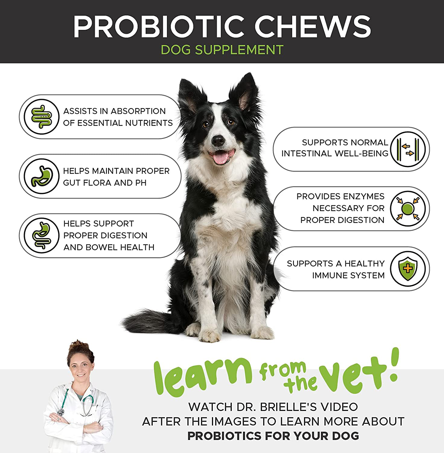 PetHonesty Probiotics for Dogs - All-Natural Advanced Dog Probiotics Chews with Prebiotics & Pumpkin, Helps with Dog Diarrhea and Constipation, Improves Digestion, Allergy, Immunity & Health