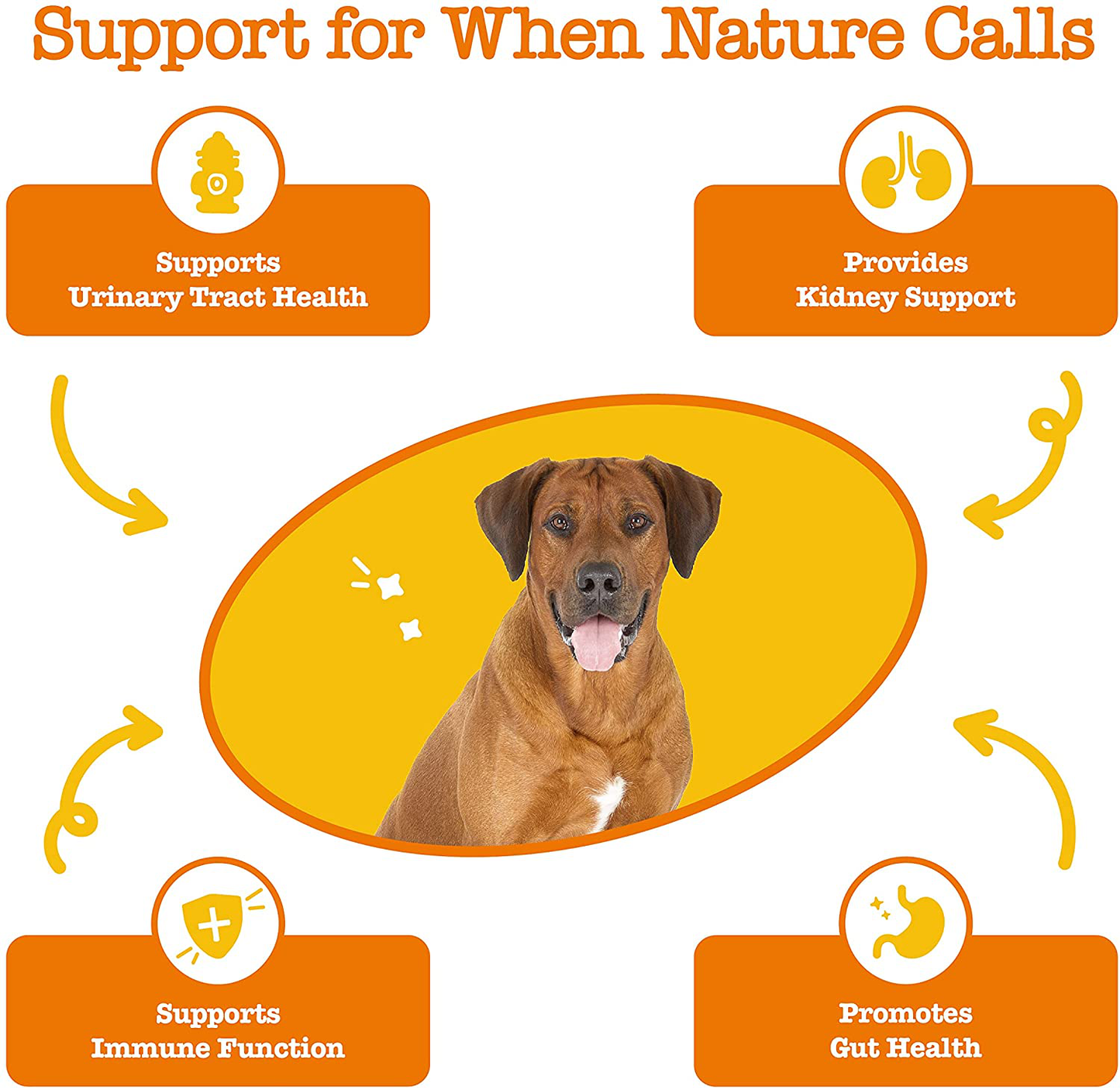 Zesty Paws Cranberry Bites for Dogs - Kidney, Bladder & Urinary Tract (UT) Support - Functional Dog Supplement with D Mannose, Marshmallow & Organic Astragalus - Immune System Support for Canine Pets