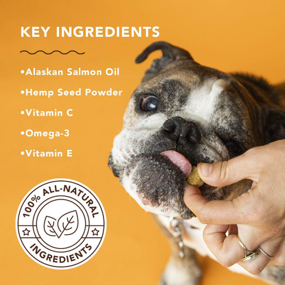 Natural Dog Company Skin & Coat Supplement Chews with Wild Alaskan Salmon Oil, Omega 3 & 6, EPA & DHA, Promotes Healthy Skin and Coat, Salmon & Peas Flavor, 90 Count