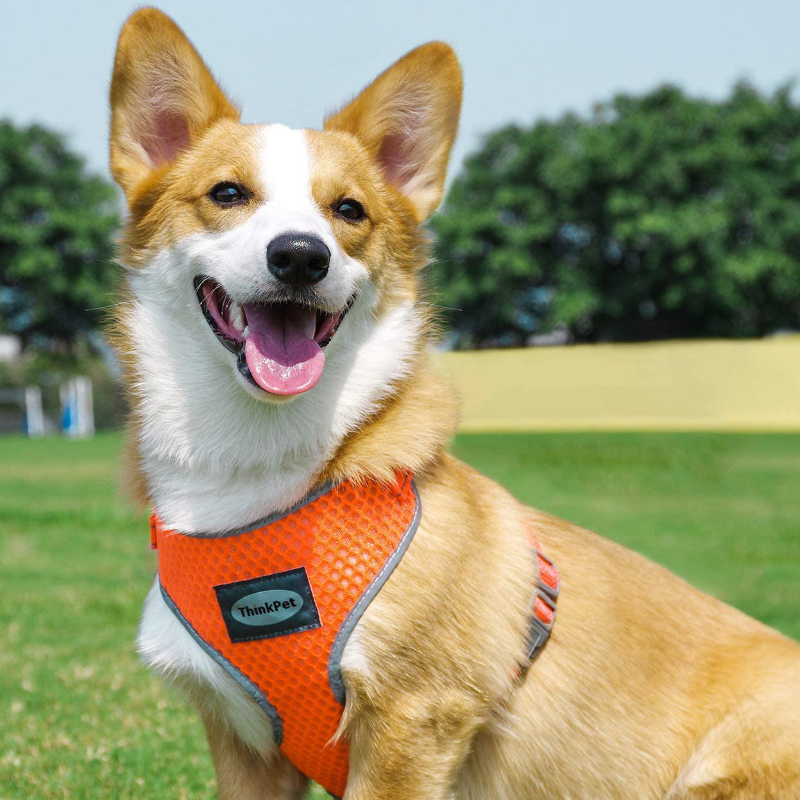 Reflective Breathable Soft Air Mesh No Pull Puppy Harness