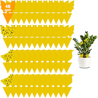 Multi Pack Yellow Fruit Fly Trap, 5 x 3 Inches Sticky Fungus Gnat Killer for Flying Plant Insect, Fungus Gnats, Whiteflies