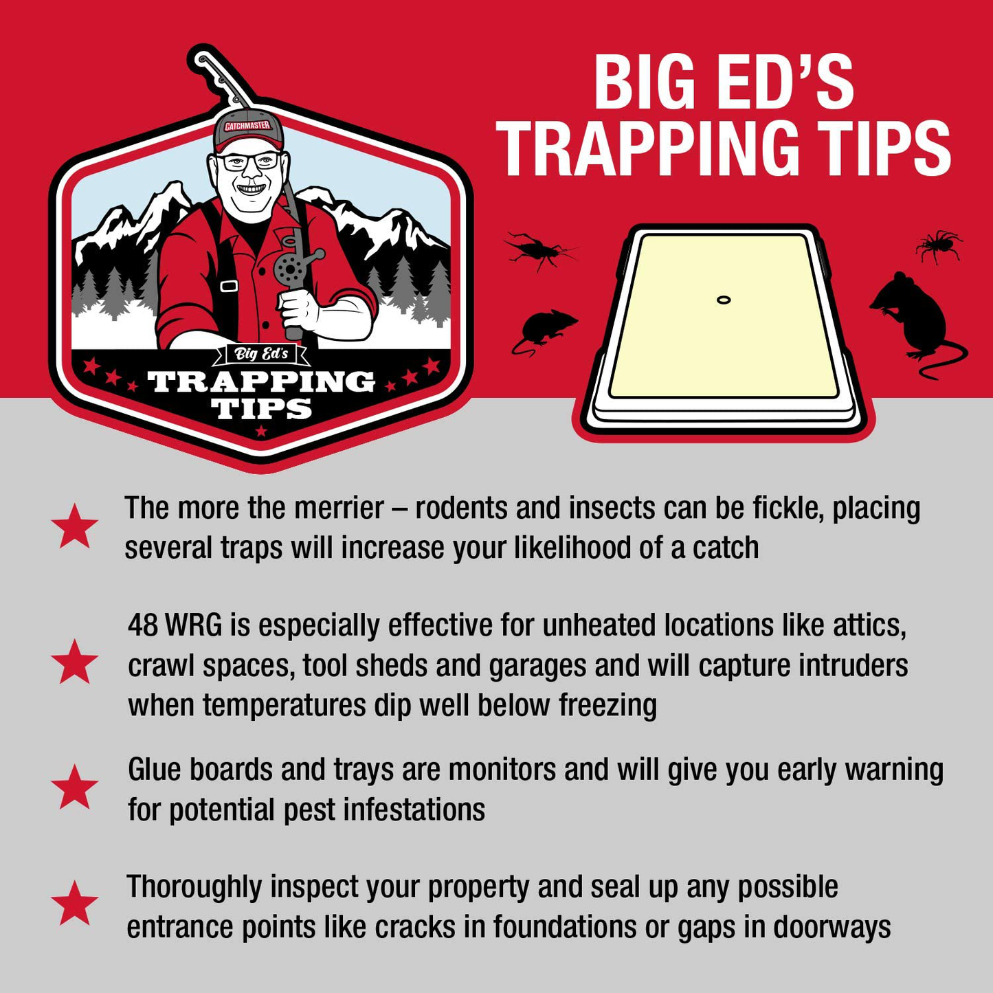 Catchmaster Rat, Mouse, Rodent & Insect Cold Weather Professional Strength Glue Traps - Non Toxic - 6 Glue Trays