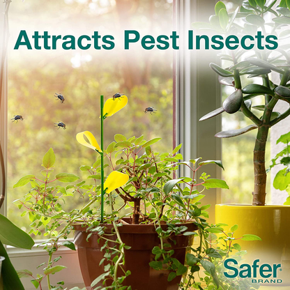 Houseplant Sticky Stakes Insect Traps