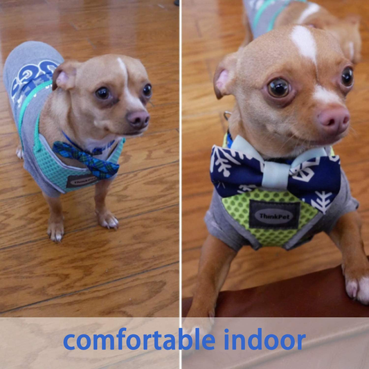 Reflective Breathable Soft Air Mesh No Pull Puppy Harness For Small To Medium Dogs And Cats