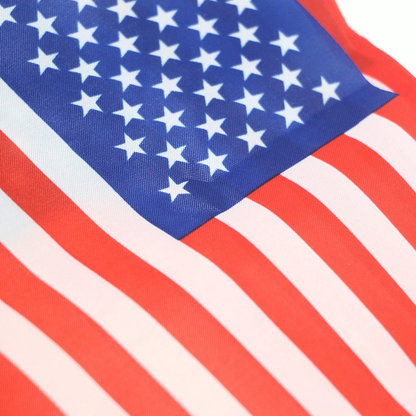 USA American String Pennant Banners, Patriotic Events 4th of July Independence Day Decoration Sports Bars - 33 Feet 38 Flags