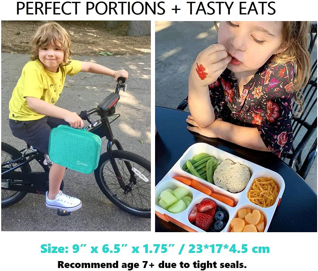 Leakproof Bento Lunch and Snack Boxes. Family Pack of 4 Meal Planning Portion Containers For Women, Adults. BPA Free. Utensils. Blue, Green