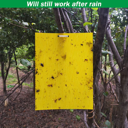50 Sheets Yellow Sticky Traps, Fruit Fly Traps, for Indoor and Outdoor, Include Twist Ties and Plastic Holders