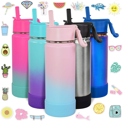 CHILLOUT LIFE 17 oz Insulated Water Bottle with Straw Lid for Kids and Adult + 20 Cute Waterproof Stickers - Perfect for Personalizing Your Kids Metal Water Bottle