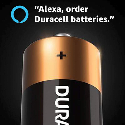 Duracell - CopperTop AAA Alkaline Batteries - Long Lasting, All-Purpose Triple A Battery for Household and Business - 20 Count