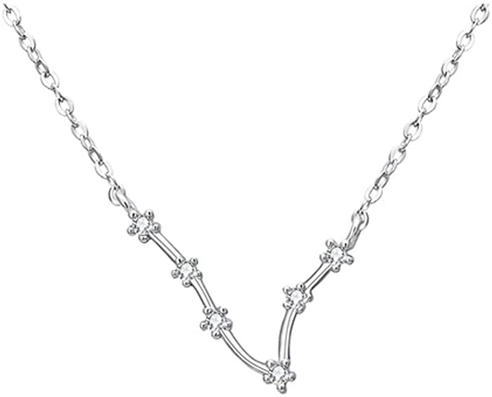 925 Sterling SilverCZ Horoscope Zodiac 12 Constellation Astrology Pendant Necklace for Women Girls Teen Girls and Kids Birthday Gift