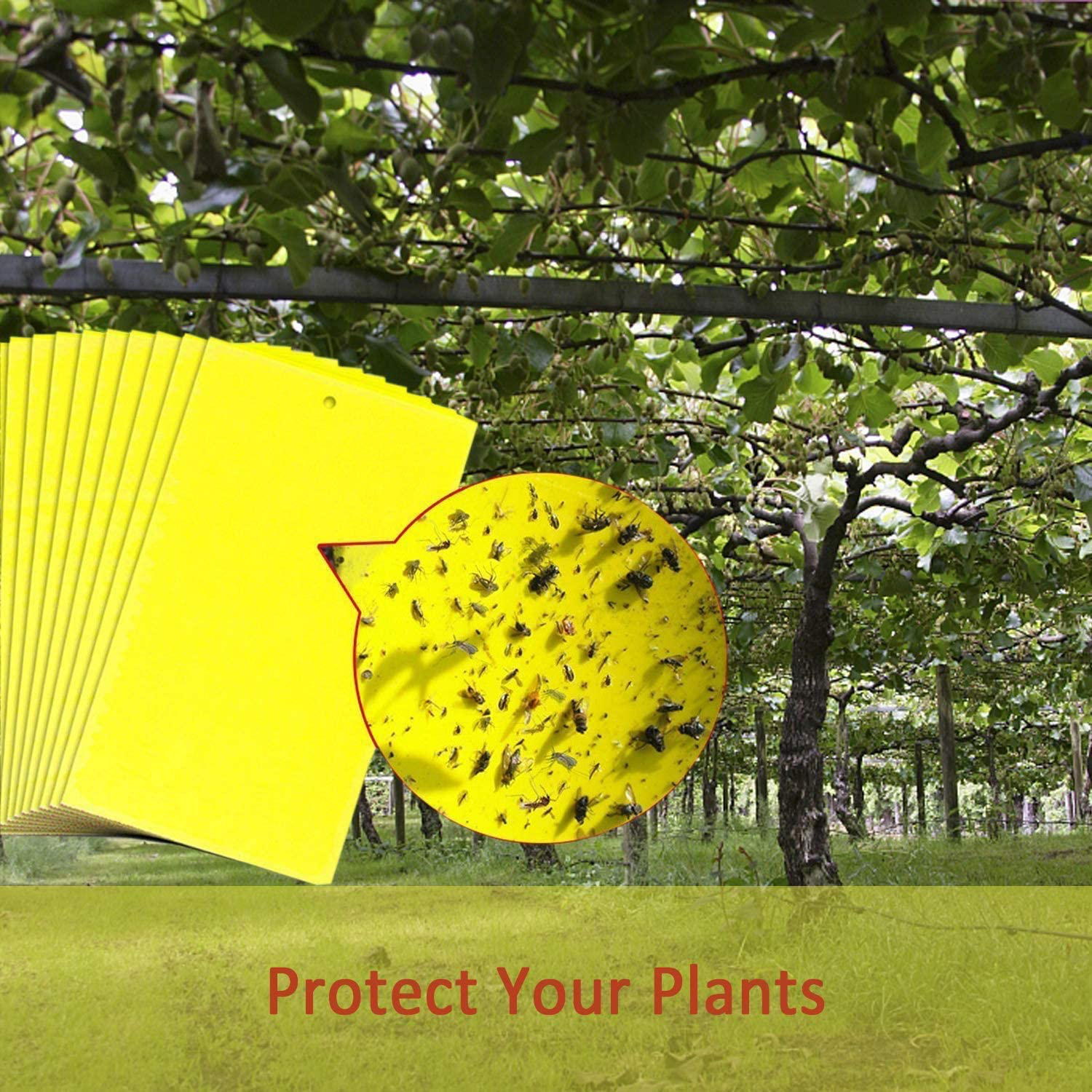 20-Pack Dual-Sided Yellow Sticky Traps for Flying Plant Insect Like Fungus Gnats, Aphids, Whiteflies, Leafminers