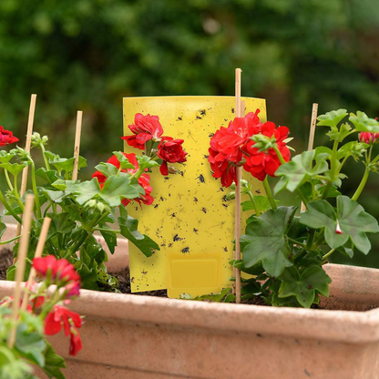 20 Pack Dual-Sided Yellow Sticky Traps for Flying Plant Insect Such as Fungus Gnats, Whiteflies, Aphids, Leafminers, and Thrips