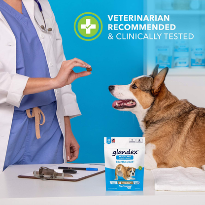 Glandex Anal Gland Soft Chew Treats with Pumpkin for Dogs 30ct Chews with Digestive Enzymes, Probiotics Fiber Supplement for Dogs – Vet Recommended - Boot The Scoot - by Vetnique Labs