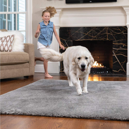 Gorilla Grip Original Ultra Soft Area Rug, 3x5 FT, Many Colors, Luxury Shag Carpets, Fluffy Indoor Washable Rugs for Kids Bedrooms, Plush Home Decor for Living Room Floor, Nursery, Bedroom, Brown