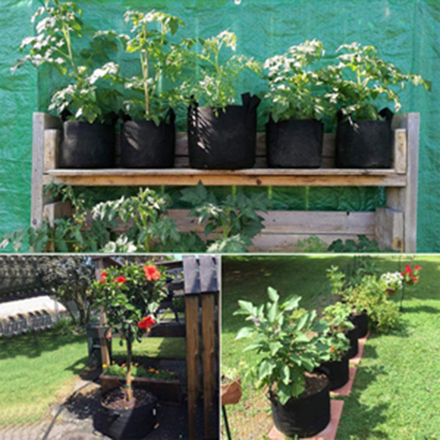 5 Pack Premium Grow Bags Heavy Duty Thickened Non-woven Plant Fabric Pots with Handles