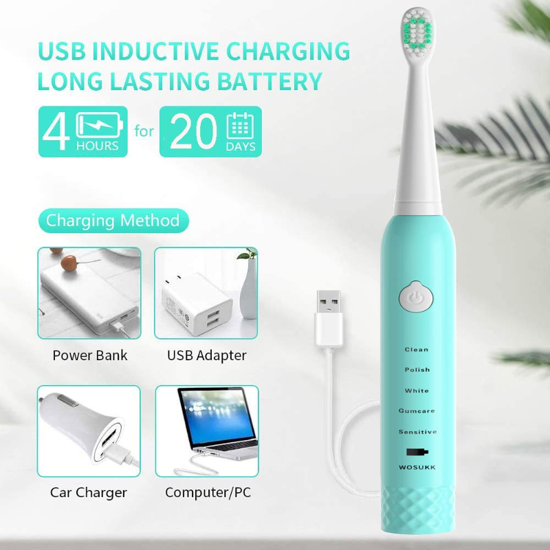 Sonic Electric Toothbrush -5 Modes with Smart Timer, Waterproof USB Charging Rechargeable Ultrasonic Toothbrushes, 4 Replacement Brush Heads
