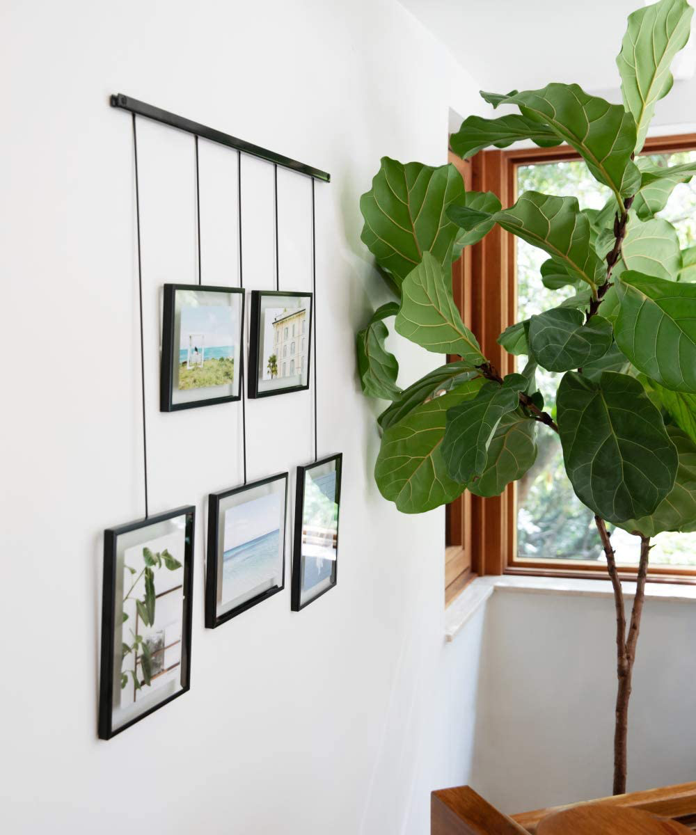 Umbra Exhibit Picture Frame Gallery Set Adjustable Collage Display for 5 Photos, Prints, Artwork & More (Holds Two 4 x 6 inch and Three 5 x 7 inch Images), 5 Opening, Black Legacy