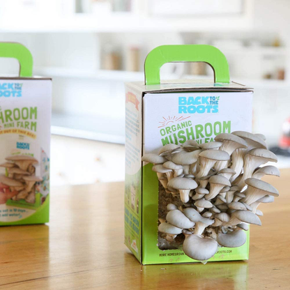 Organic Non-GMO Mushroom Grow Kit