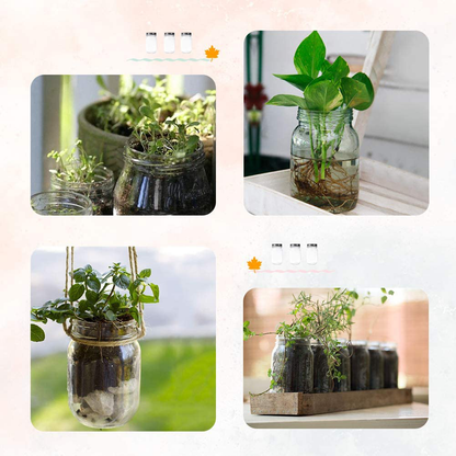 2 or 6 Pack Glass Regular Mouth Mason Jar Silver Metal Lids plus Plastic Lids Pint Mason Jar Ideal for Canning