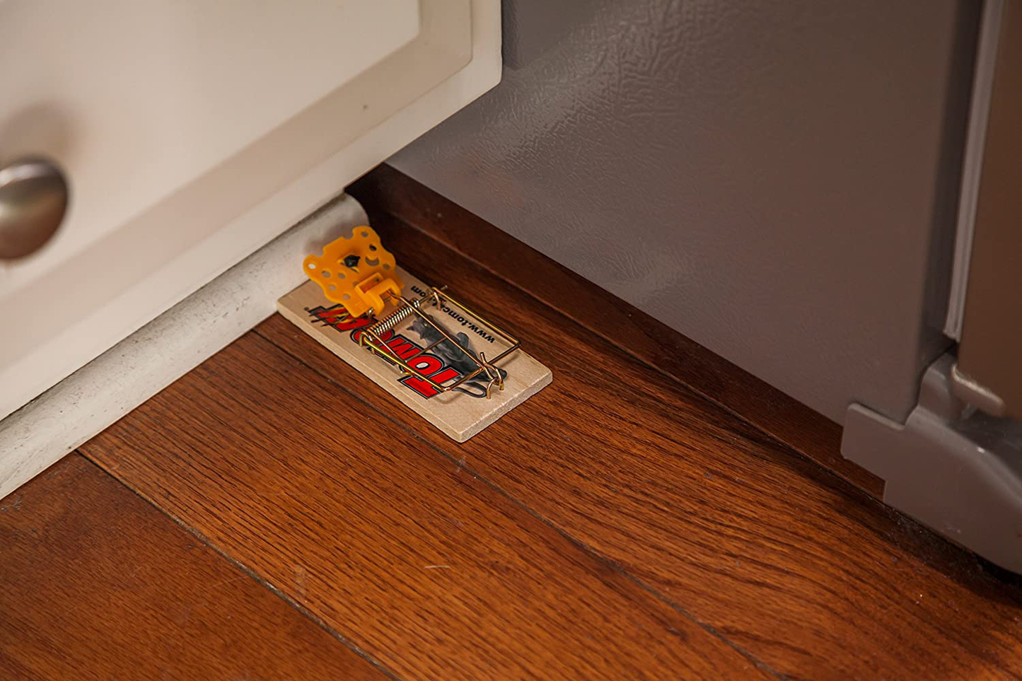 Tomcat Wooden Mouse Traps
