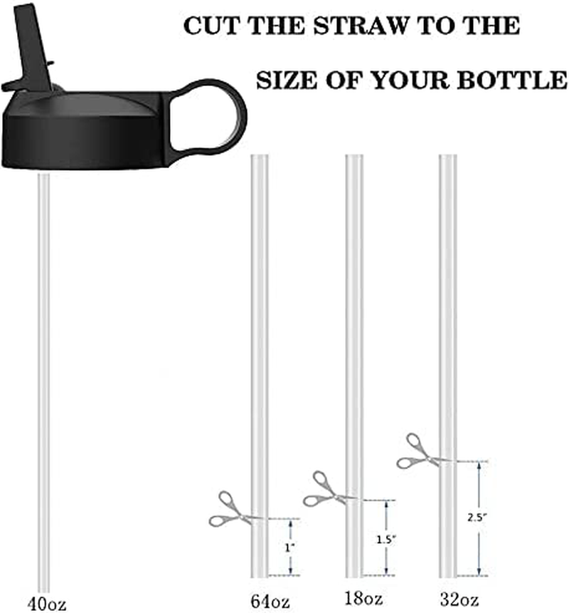 The Mass Wide Mouth Straw Lid Compatibility Most Sports Water Bottle (Black)