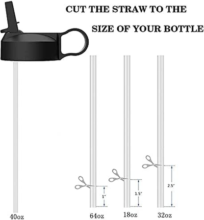 The Mass Wide Mouth Straw Lid Compatibility Most Sports Water Bottle (Black)