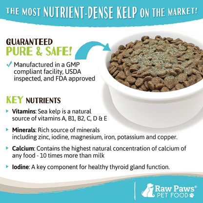 Raw Paws Pet Organic Sea Kelp for Dogs & Cats, 16-oz Seaweed Powder - Icelandic Kelp Supplements for Dogs Supports Thyroid Function - Dried Ocean Kelp for Dogs