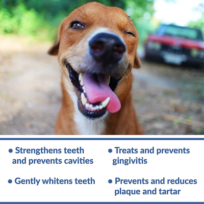 Dental Fresh Advanced Whitening Water Additive for Dogs – Reduce Surface Stains, Reverse Discoloration, Eliminate Bad Breath, Improve Oral Health