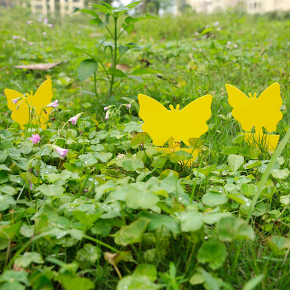 Sticky Trap,Fruit Fly and Gnat Trap Yellow Sticky Bug Traps for White Flies,Mosquitos,Fungus Gnats,Flying Insects