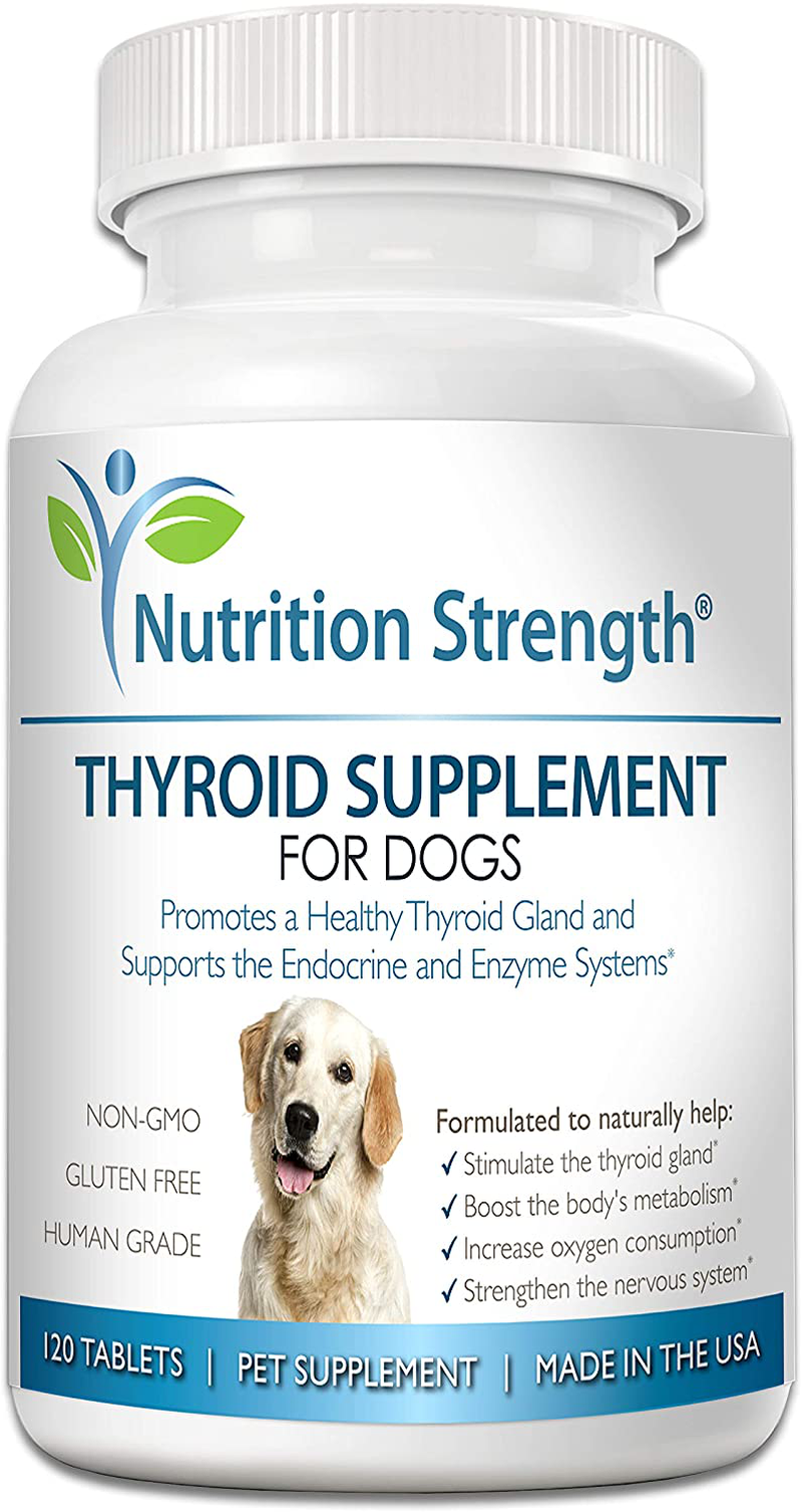 Nutrition Strength Thyroid Supplement for Dogs, Support for Hypothyroidism in Dogs with Organic Bladderwrack, Promotes Normal Function of Endocrine and Enzyme Systems, 120 Chewable Tablets