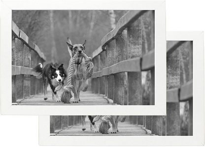 8x12 Black Gallery Picture Frame 2-Pack - Wide Molding - Includes Both Attached Hanging Hardware and Desktop Easel - Display Pictures 8 x 12 Inches - Eight by Twelve - Two Frames