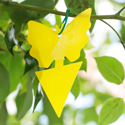 Yellow Sticky Fruit Fly Traps Gnat Trap for Indoor Houseplants 