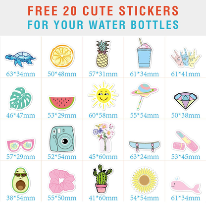 CHILLOUT LIFE 17 oz Insulated Water Bottle with Straw Lid for Kids and Adult + 20 Cute Waterproof Stickers - Perfect for Personalizing Your Kids Metal Water Bottle
