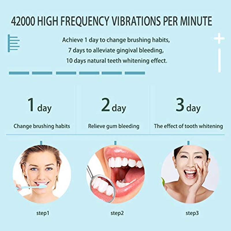 Rechargeable Sonic Electric Toothbrush - 6 Optional Modes IPX7 USB Fast Charging with 2 min Build in Timer & 4 Replacement Brush Heads