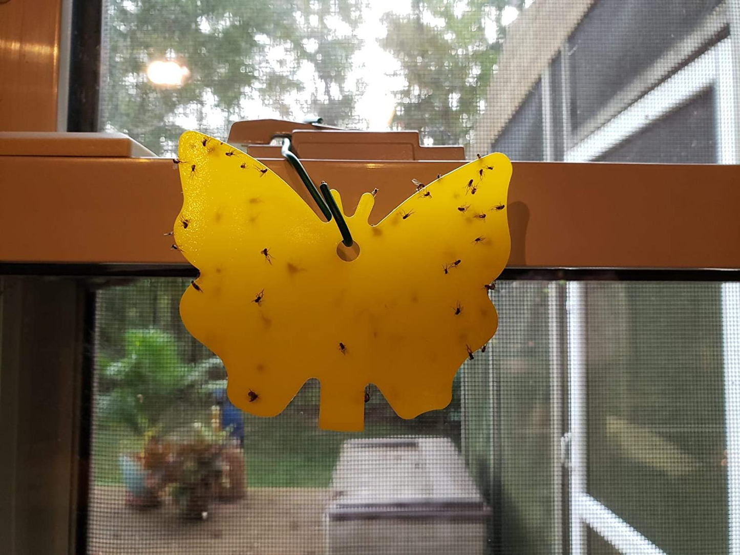 Yellow Sticky Fruit Fly Traps Gnat Trap for Indoor Houseplants 