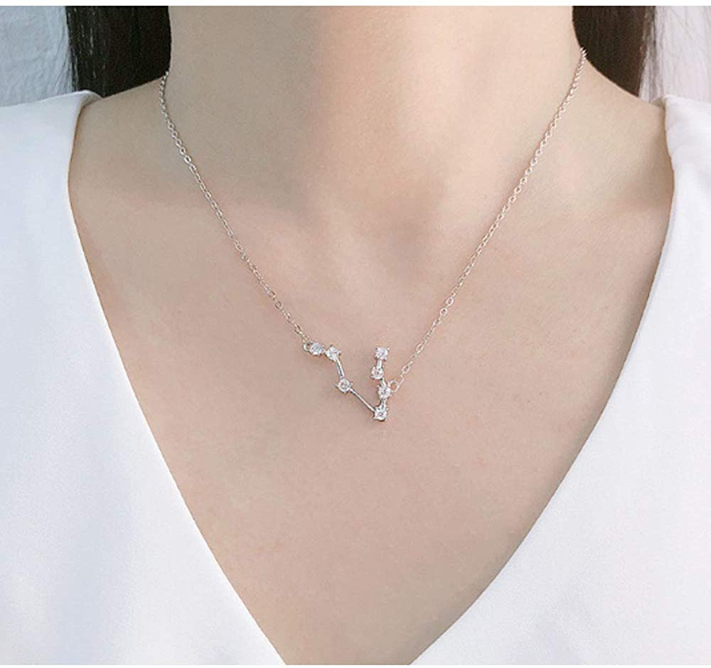 925 Sterling SilverCZ Horoscope Zodiac 12 Constellation Astrology Pendant Necklace for Women Girls Teen Girls and Kids Birthday Gift