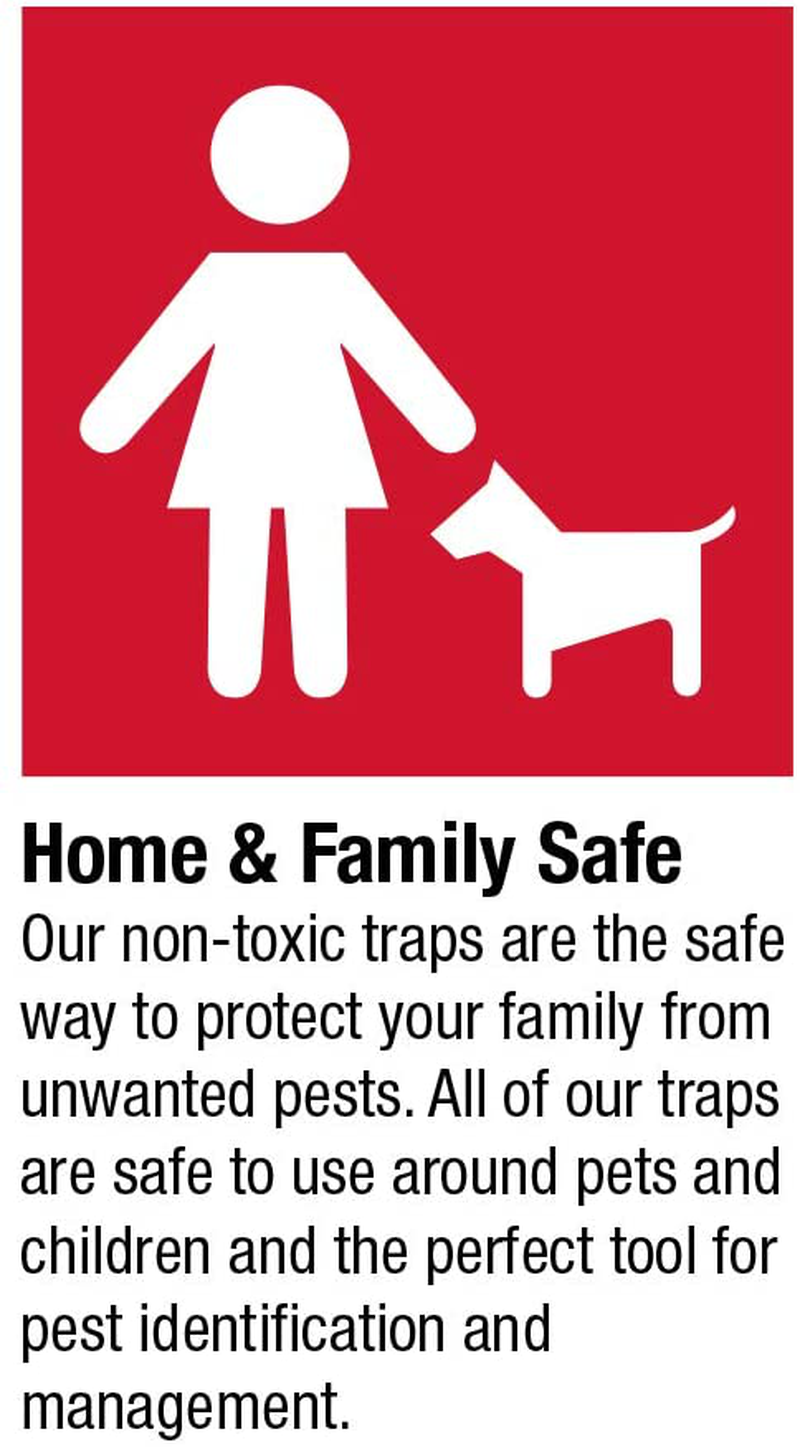 Catchmaster Rat, Mouse, Rodent & Insect Cold Weather Professional Strength Glue Traps - Non Toxic - 6 Glue Trays