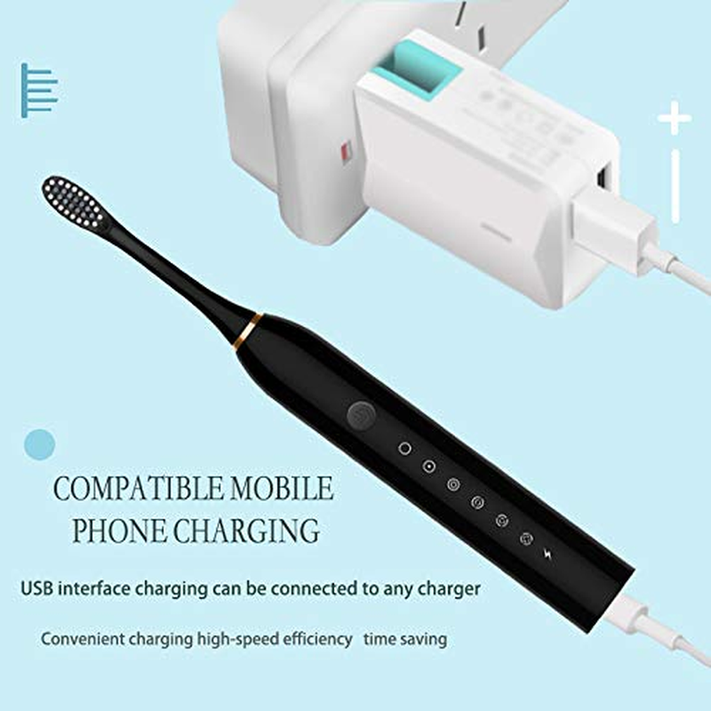 Rechargeable Sonic Electric Toothbrush - 6 Optional Modes IPX7 USB Fast Charging with 2 min Build in Timer & 4 Replacement Brush Heads
