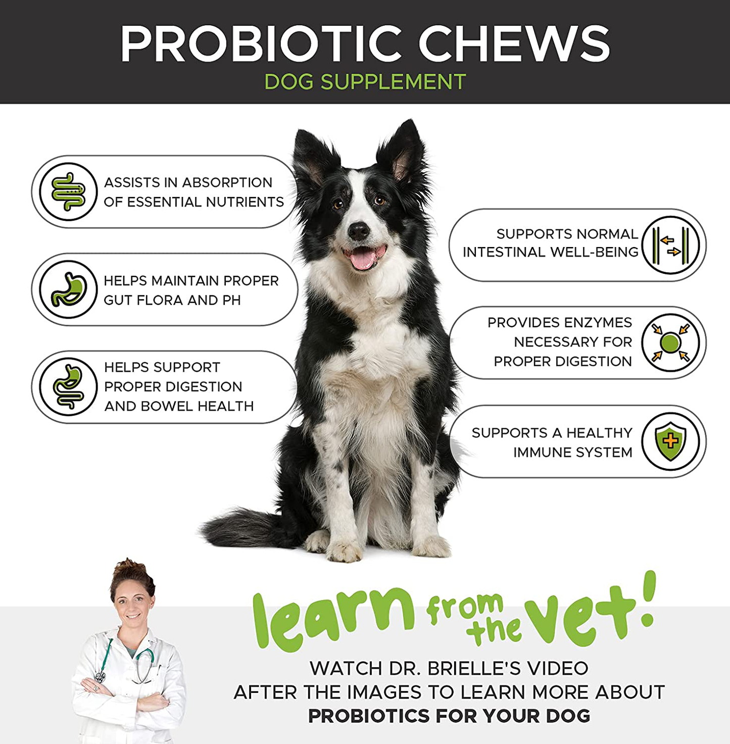 PetHonesty Probiotics for Dogs - All-Natural Advanced Dog Probiotics Chews with Prebiotics & Pumpkin, Helps with Dog Diarrhea and Constipation, Improves Digestion, Allergy, Immunity & Health