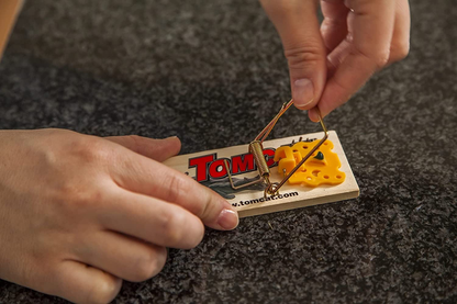 Tomcat 373312 Wooden Mouse Trap