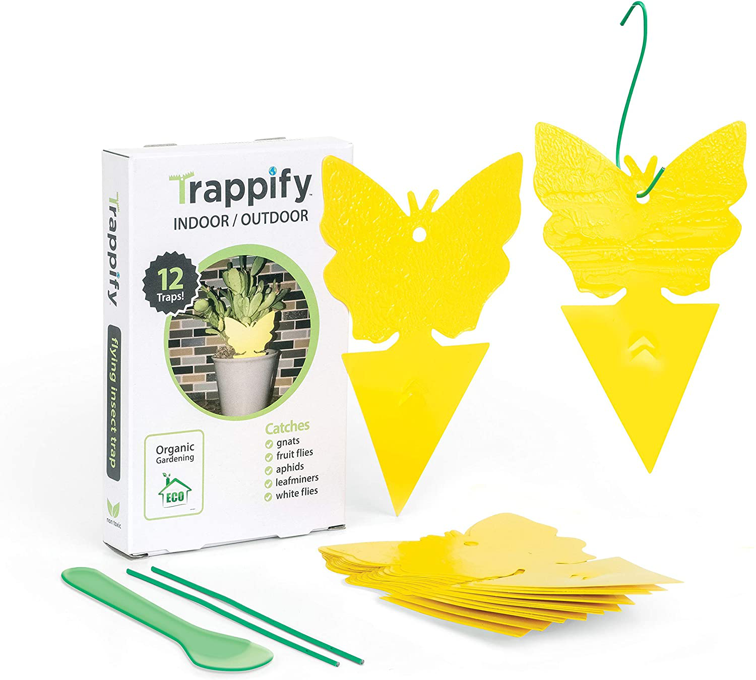 12 Insect Catchers for White Flies, Mosquitos, Fungus Gnats, Flying Insects - Disposable Glue Traps