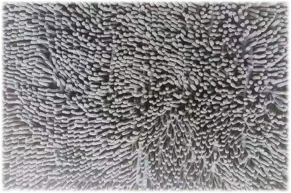 Original Luxury Chenille Bath Rug Mat, Shaggy Rugs, Soft and Absorbent, Machine Wash Dry, Non-Slip 