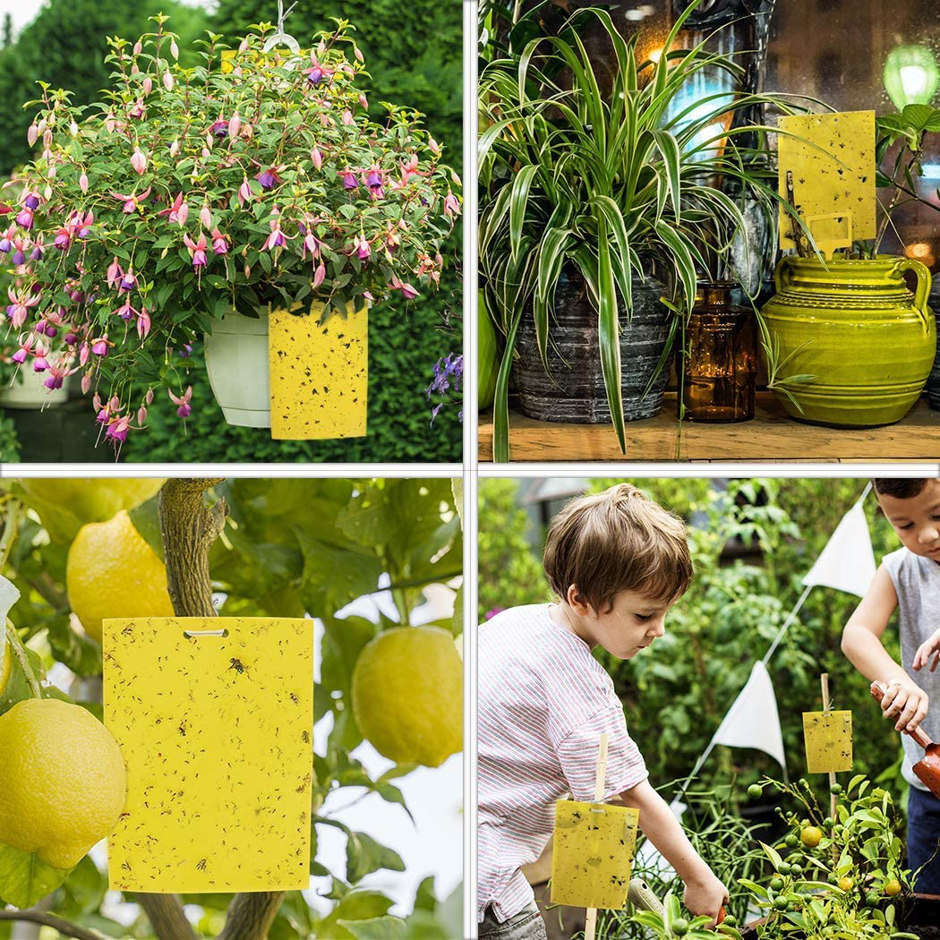 20 Pack Dual-Sided Yellow Sticky Traps for Flying Plant Insect Such as Fungus Gnats, Whiteflies, Aphids, Leafminers, and Thrips