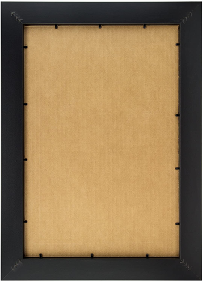 Craig Frames 1WB3BK 16 by 20 Inch Picture Frame, Smooth Wrap Finish, 1 Inch Wide, Black