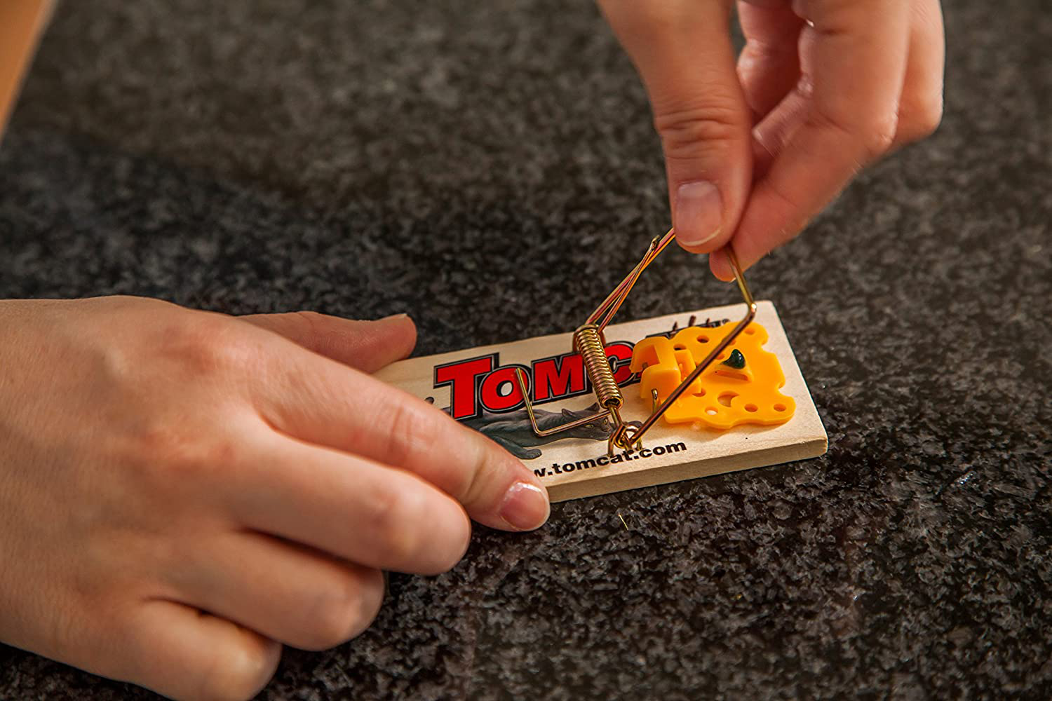 Tomcat Mouse Traps (Wooden)