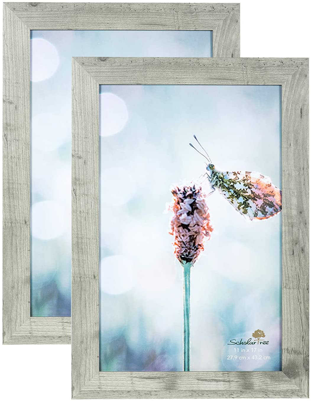 Scholartree Wooden Grey 8x10 Picture Frame 2 Set in 1 Pack