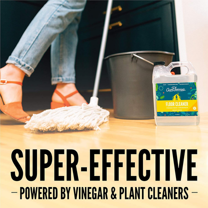 Aunt Fannie's Floor Cleaner Vinegar Wash - Multi-Surface Cleaner, 32 oz. (3-Pack, Eucalyptus)